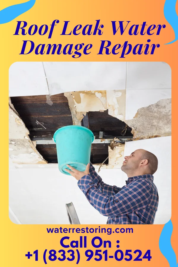Roof Leak Water Damage Repair in Troup, TX