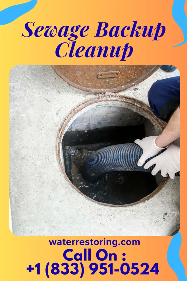 Sewage Backup Cleanup in Troup, TX